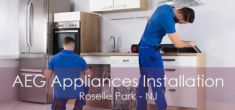 AEG Appliances Installation Roselle Park - NJ