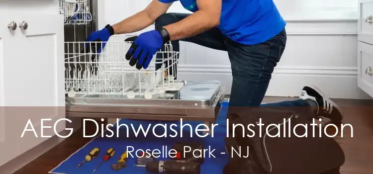 AEG Dishwasher Installation Roselle Park - NJ