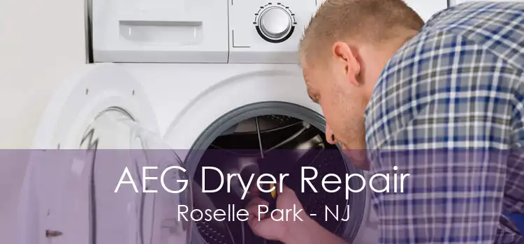 AEG Dryer Repair Roselle Park - NJ