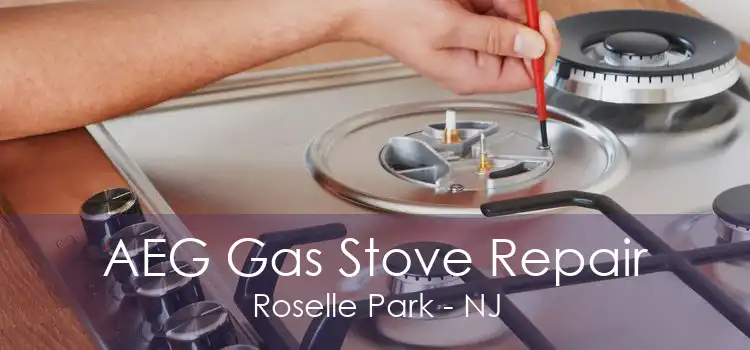 AEG Gas Stove Repair Roselle Park - NJ