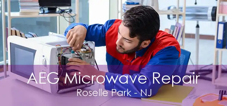 AEG Microwave Repair Roselle Park - NJ