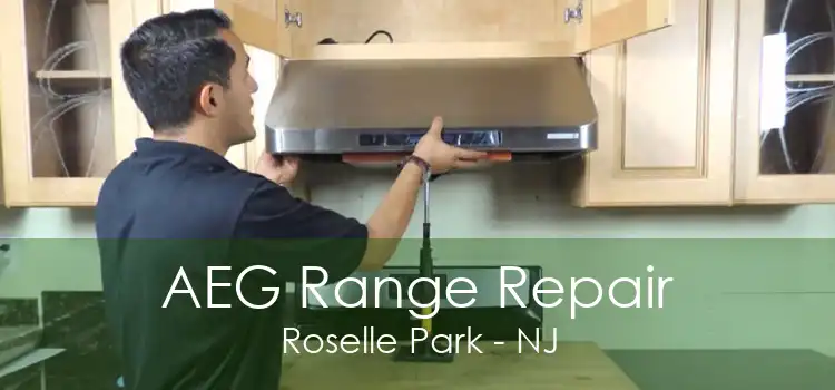 AEG Range Repair Roselle Park - NJ