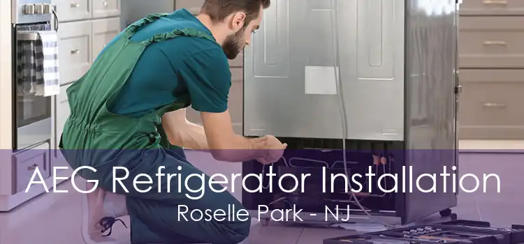 AEG Refrigerator Installation Roselle Park - NJ