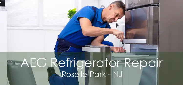 AEG Refrigerator Repair Roselle Park - NJ