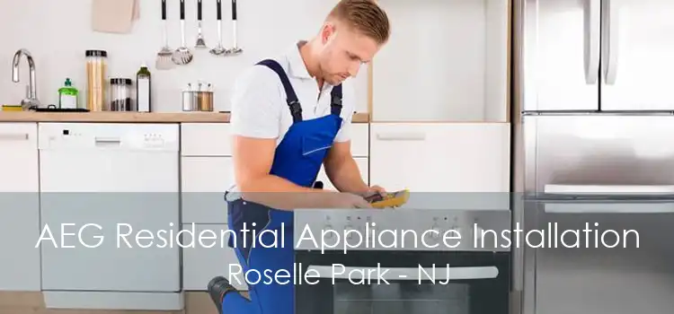 AEG Residential Appliance Installation Roselle Park - NJ