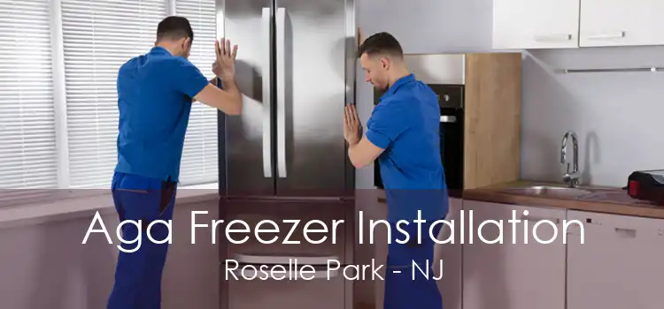 Aga Freezer Installation Roselle Park - NJ