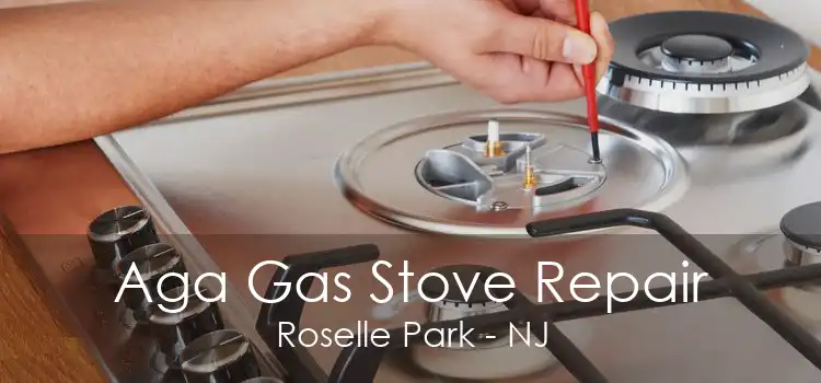 Aga Gas Stove Repair Roselle Park - NJ