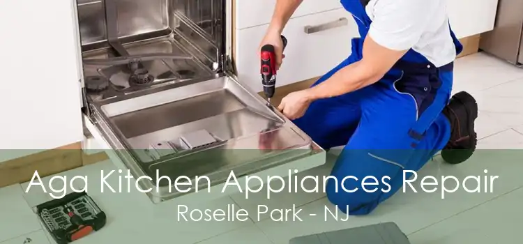Aga Kitchen Appliances Repair Roselle Park - NJ
