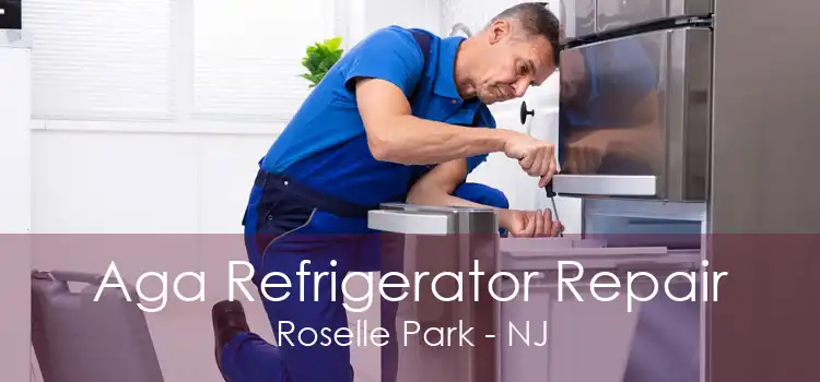 Aga Refrigerator Repair Roselle Park - NJ