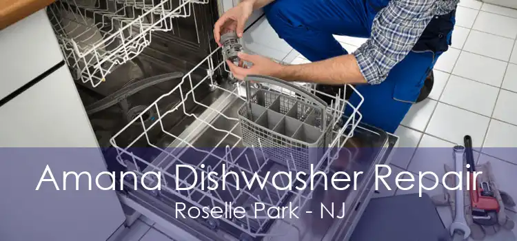 Amana Dishwasher Repair Roselle Park - NJ