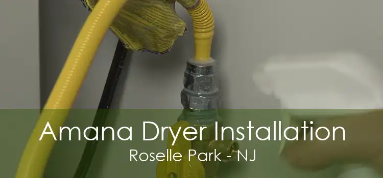 Amana Dryer Installation Roselle Park - NJ