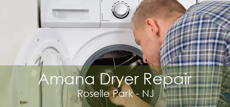 Amana Dryer Repair Roselle Park - NJ