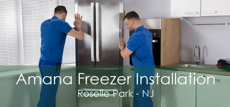 Amana Freezer Installation Roselle Park - NJ
