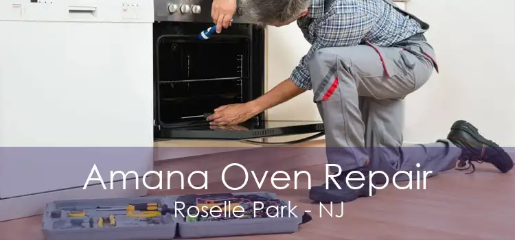 Amana Oven Repair Roselle Park - NJ