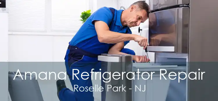 Amana Refrigerator Repair Roselle Park - NJ
