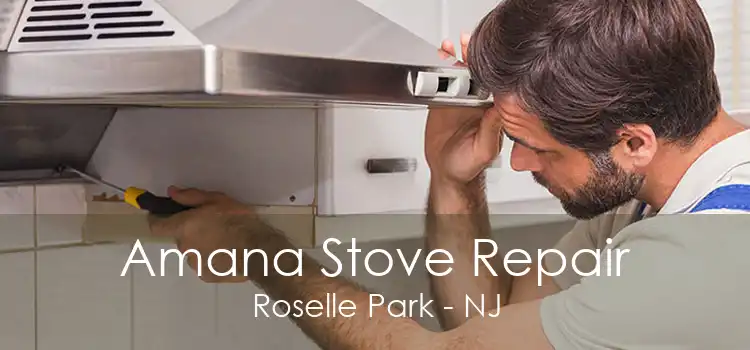 Amana Stove Repair Roselle Park - NJ