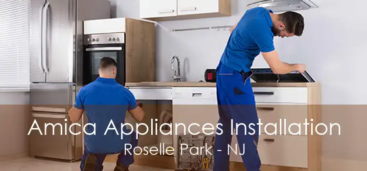 Amica Appliances Installation Roselle Park - NJ