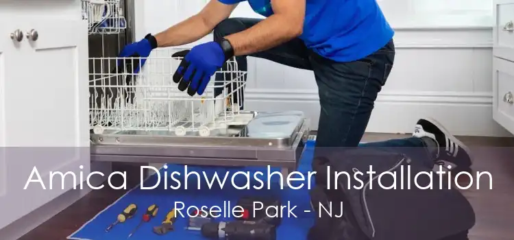 Amica Dishwasher Installation Roselle Park - NJ