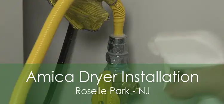 Amica Dryer Installation Roselle Park - NJ