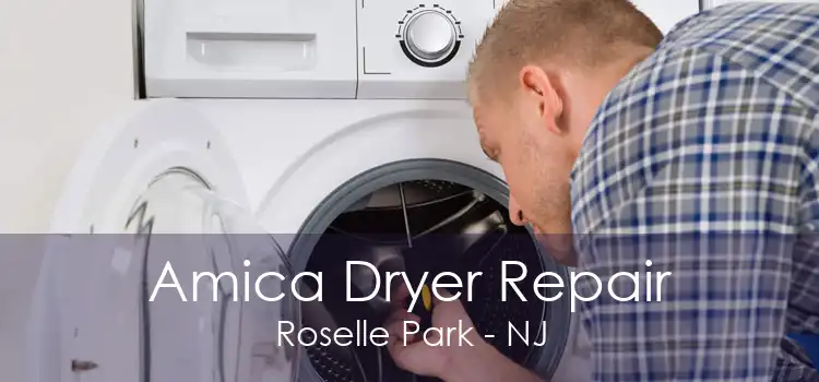 Amica Dryer Repair Roselle Park - NJ