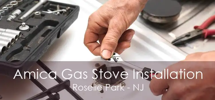 Amica Gas Stove Installation Roselle Park - NJ