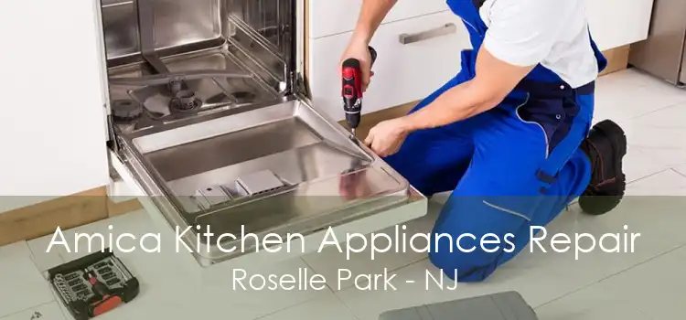 Amica Kitchen Appliances Repair Roselle Park - NJ