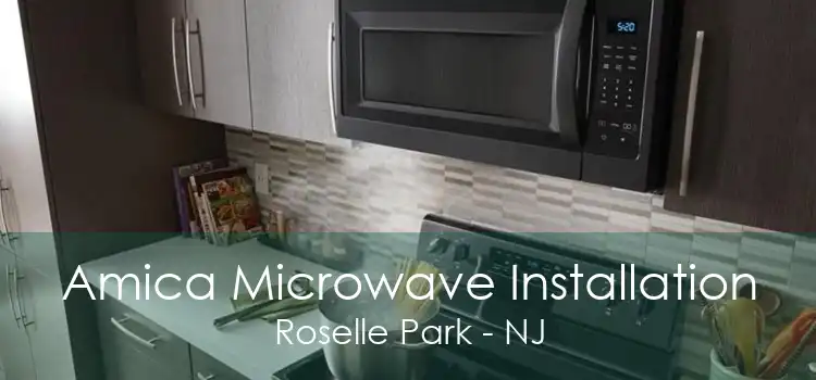 Amica Microwave Installation Roselle Park - NJ