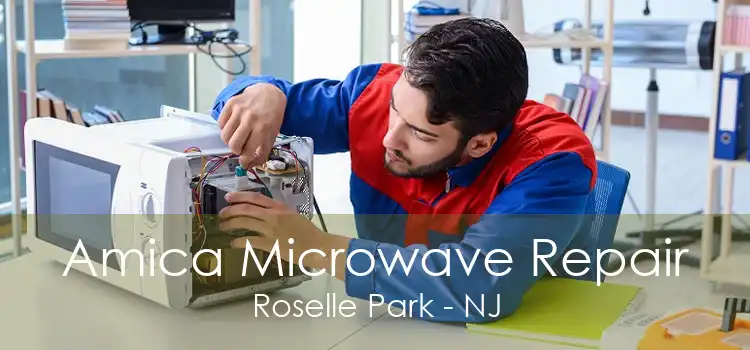 Amica Microwave Repair Roselle Park - NJ