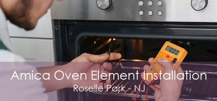 Amica Oven Element Installation Roselle Park - NJ