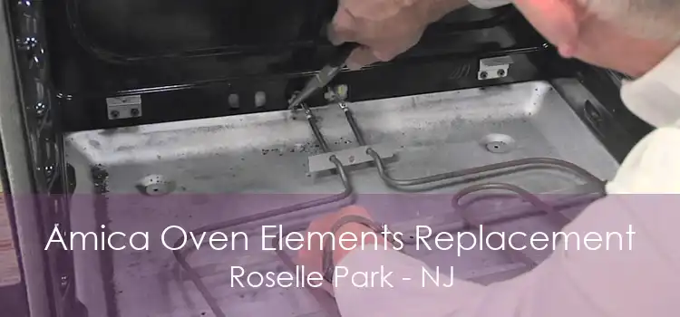 Amica Oven Elements Replacement Roselle Park - NJ