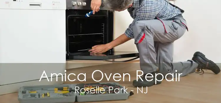 Amica Oven Repair Roselle Park - NJ