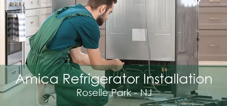 Amica Refrigerator Installation Roselle Park - NJ