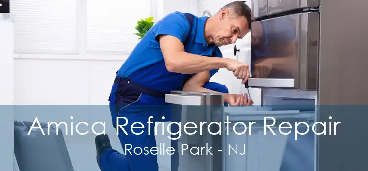 Amica Refrigerator Repair Roselle Park - NJ