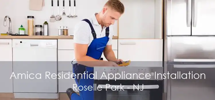 Amica Residential Appliance Installation Roselle Park - NJ