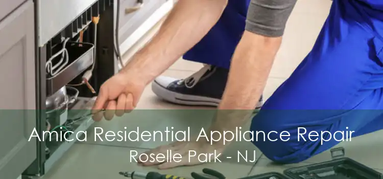 Amica Residential Appliance Repair Roselle Park - NJ