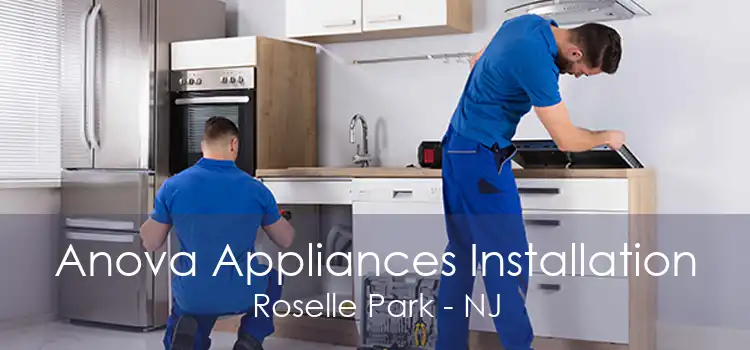 Anova Appliances Installation Roselle Park - NJ