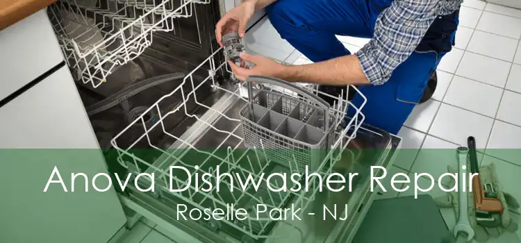 Anova Dishwasher Repair Roselle Park - NJ