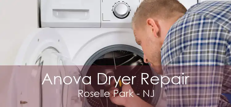 Anova Dryer Repair Roselle Park - NJ