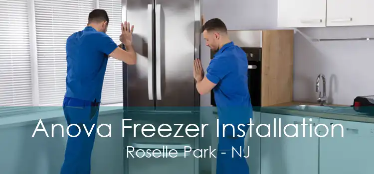 Anova Freezer Installation Roselle Park - NJ