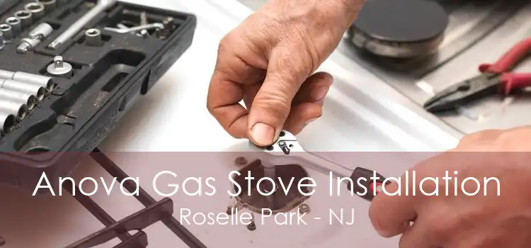 Anova Gas Stove Installation Roselle Park - NJ