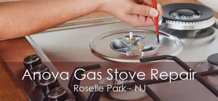 Anova Gas Stove Repair Roselle Park - NJ