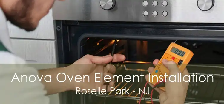 Anova Oven Element Installation Roselle Park - NJ