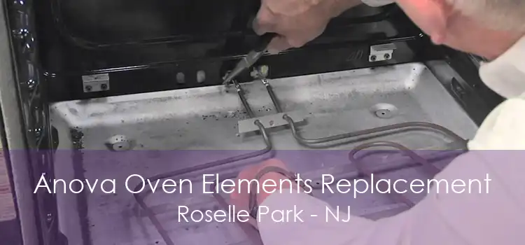 Anova Oven Elements Replacement Roselle Park - NJ