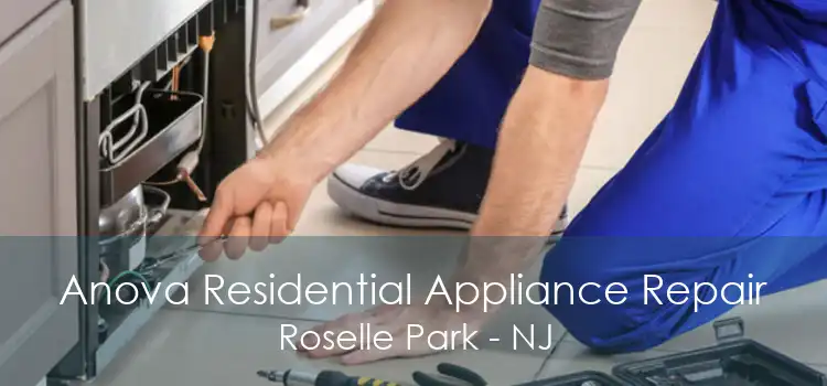 Anova Residential Appliance Repair Roselle Park - NJ