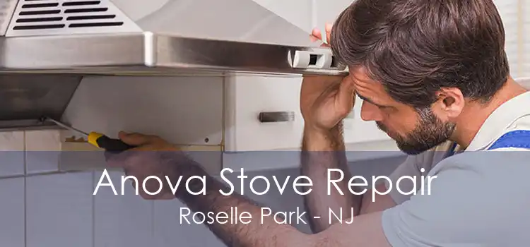 Anova Stove Repair Roselle Park - NJ