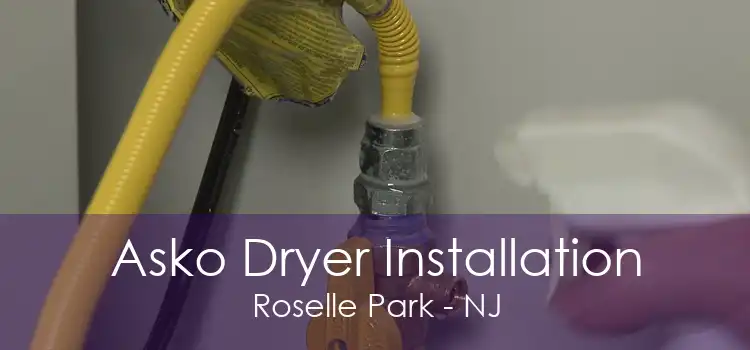 Asko Dryer Installation Roselle Park - NJ