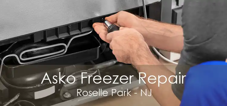 Asko Freezer Repair Roselle Park - NJ