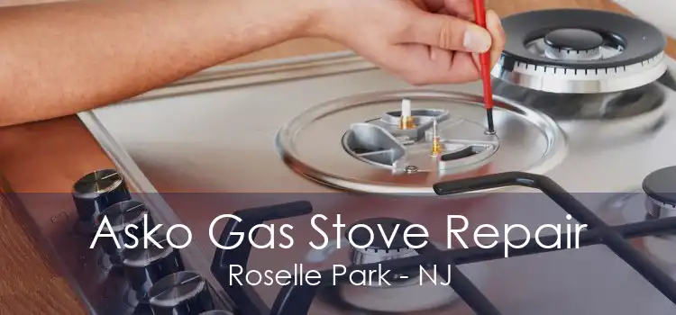 Asko Gas Stove Repair Roselle Park - NJ