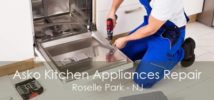 Asko Kitchen Appliances Repair Roselle Park - NJ