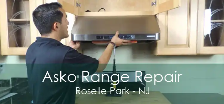Asko Range Repair Roselle Park - NJ